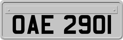 OAE2901