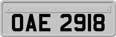 OAE2918