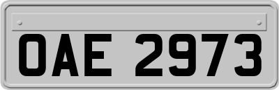 OAE2973