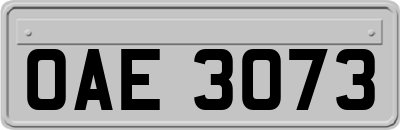 OAE3073