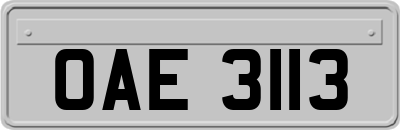 OAE3113