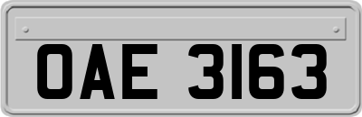 OAE3163