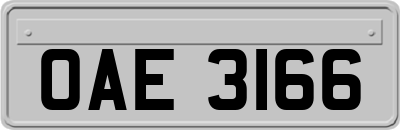 OAE3166