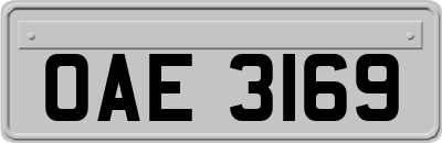 OAE3169