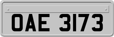 OAE3173