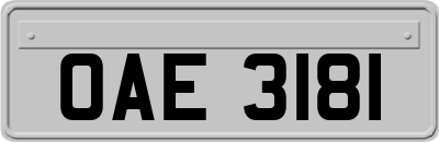 OAE3181