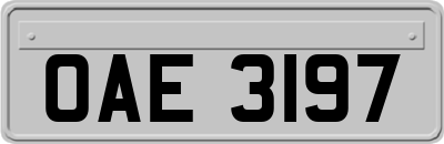 OAE3197