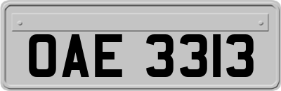 OAE3313