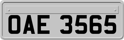 OAE3565