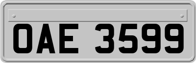 OAE3599