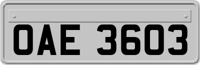 OAE3603