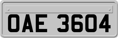 OAE3604