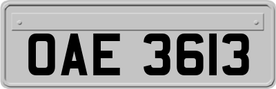 OAE3613