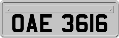 OAE3616