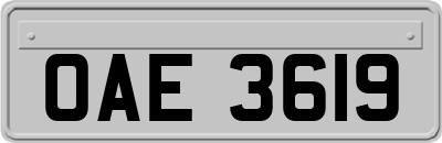 OAE3619