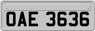 OAE3636