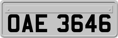 OAE3646