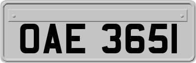 OAE3651