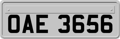 OAE3656