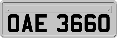 OAE3660