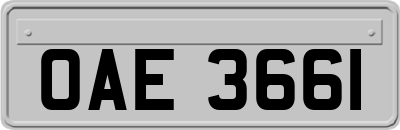 OAE3661