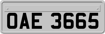OAE3665