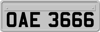 OAE3666