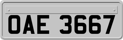 OAE3667