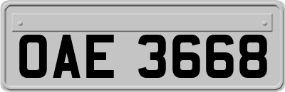 OAE3668