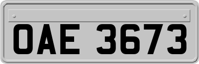 OAE3673