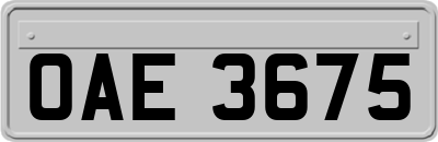 OAE3675