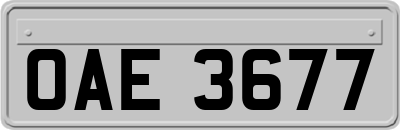 OAE3677