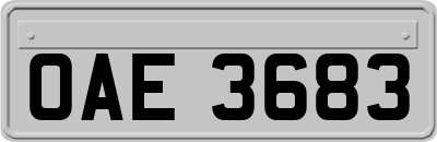 OAE3683