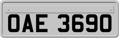 OAE3690