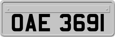 OAE3691