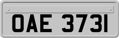 OAE3731