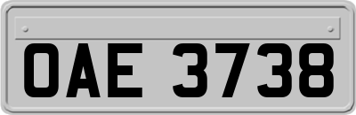 OAE3738
