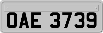 OAE3739
