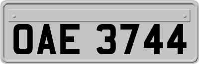 OAE3744