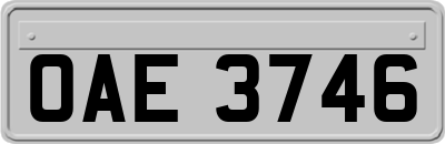 OAE3746