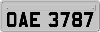 OAE3787