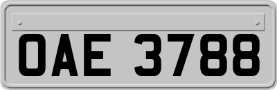 OAE3788