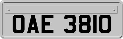 OAE3810