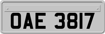 OAE3817