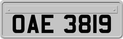 OAE3819