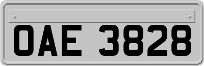 OAE3828