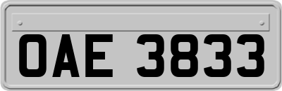 OAE3833