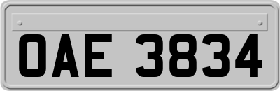 OAE3834