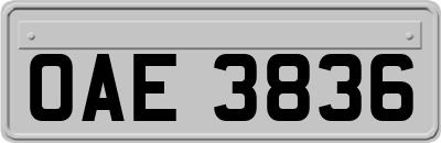 OAE3836