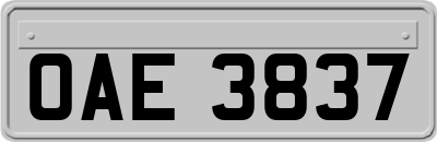 OAE3837